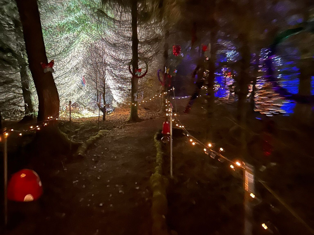 Woodland Experiences Limited-Balfron必去景点