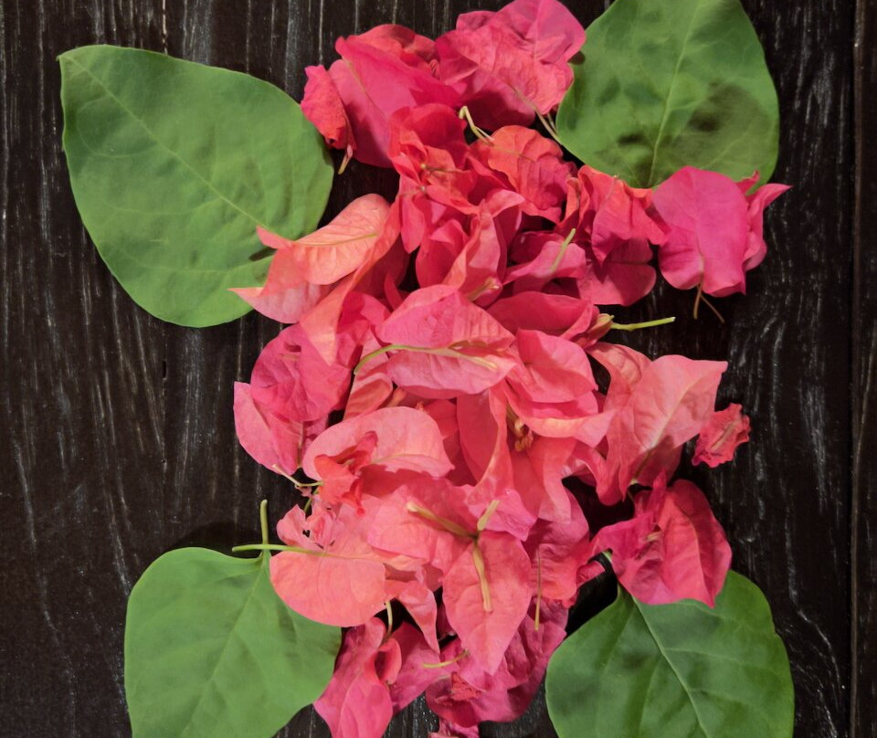 Jungle Bay Dominica主图