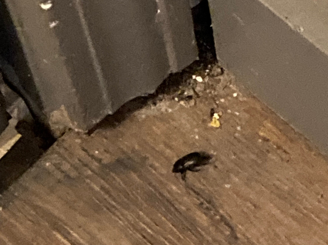 Woodridge Inn and Suites主图