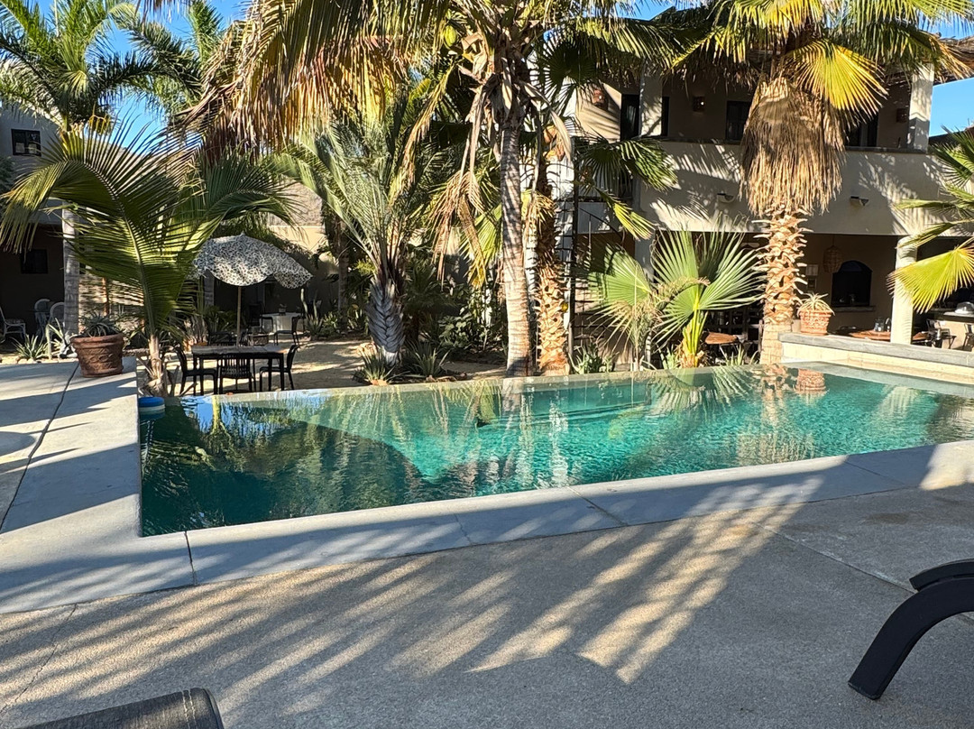 Pure Baja Suites & Retreats主图