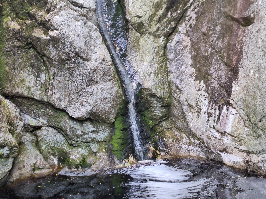 Marloth Nature Reserve-斯韦伦丹必去景点