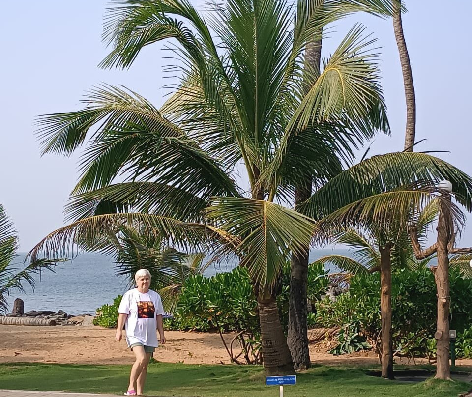 萨恩玛丽比琪酒店主图