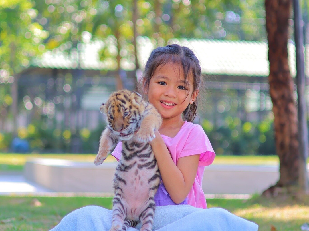 Tiger World Thailand景点图片