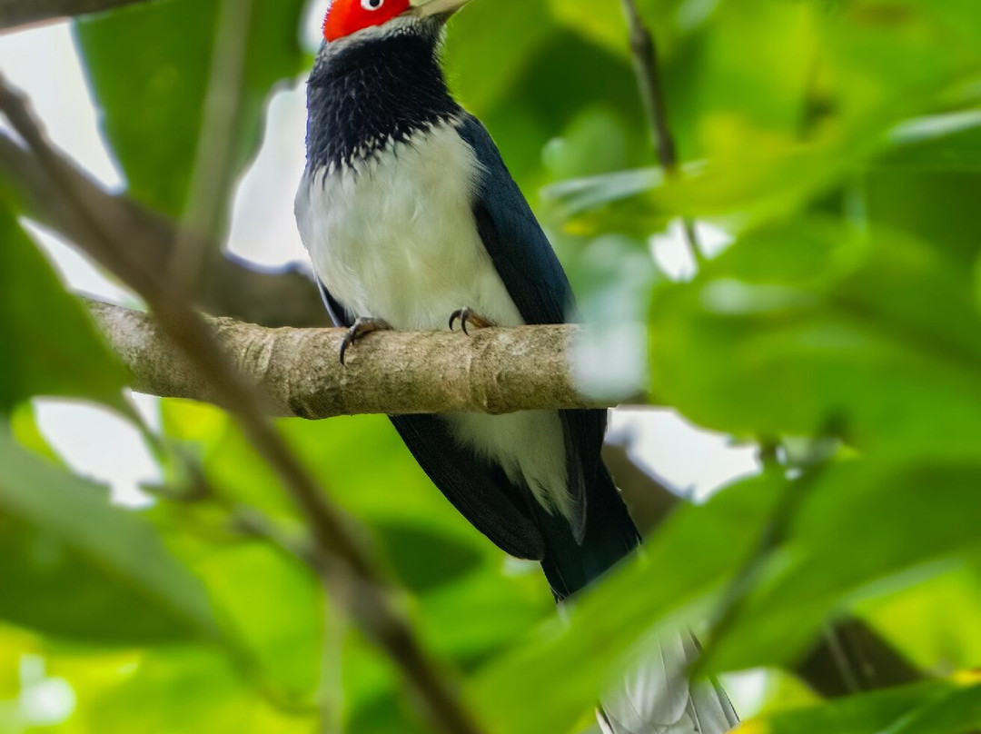 Exotic Adventures-Delgoda必去景点