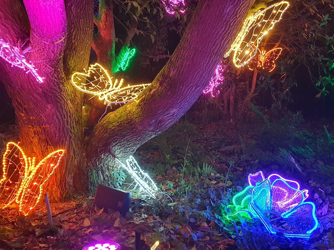 Light Up Trails景点图片
