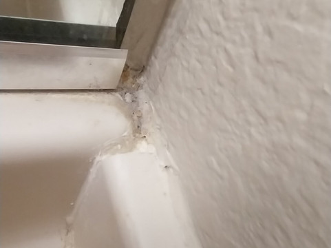 Microtel Inn & Suites by Wyndham Palm Coast主图