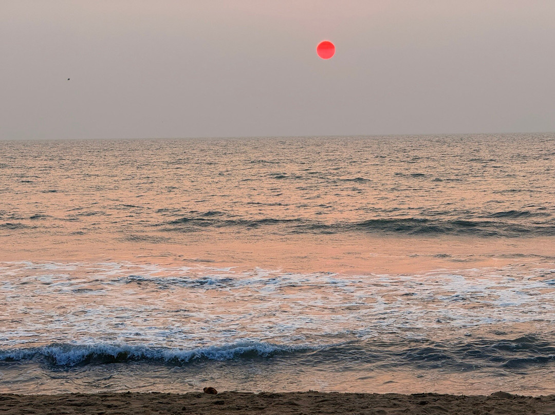 ShriGo Bekal Fort Resort & Spa主图
