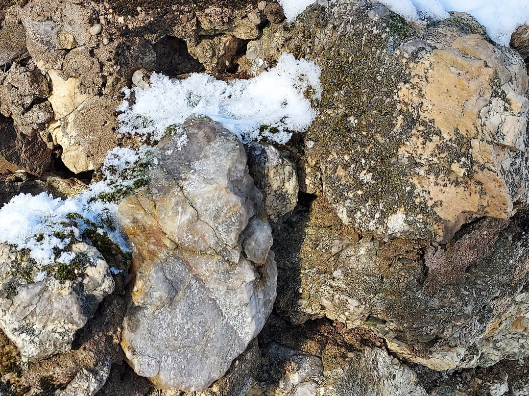 Spiderweed Preserve-米德尔敦必去景点