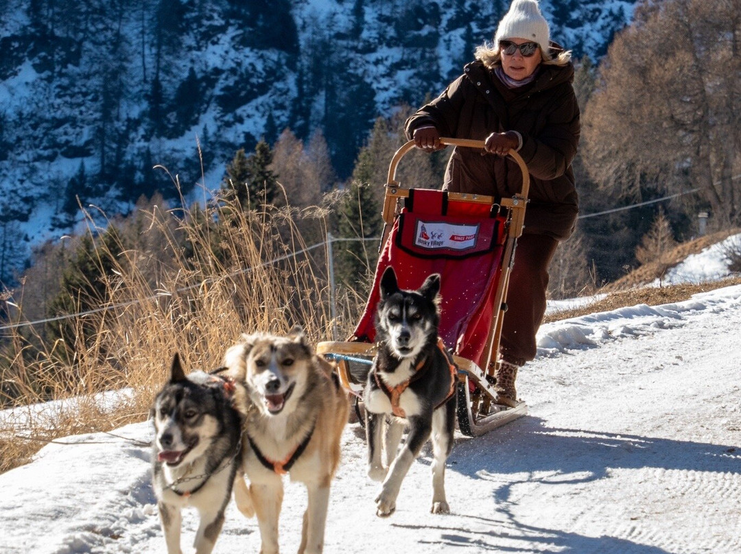 Centro Italiano Sleddog Husky Village-Valdidentro必去景点