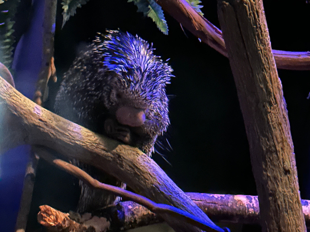 Electric City Aquarium & Reptile Den景点图片