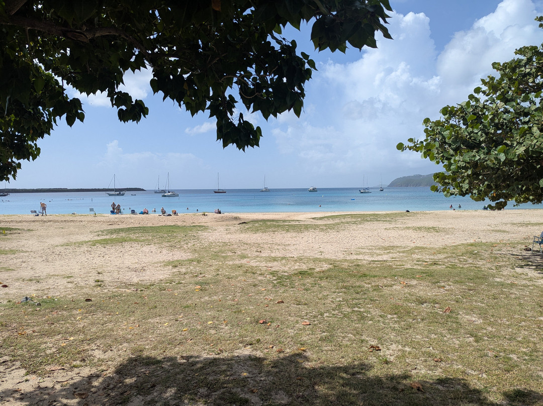 Virgin Islands Ecotours-圣 托马斯必去景点