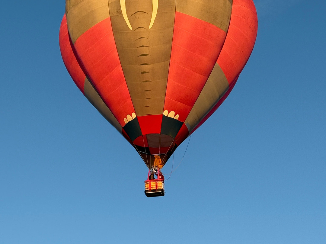 AZ Air Ventures-Safford必去景点