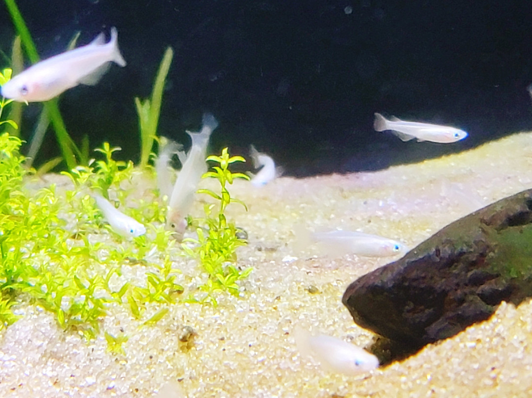 Nakagawa Aquatic Park-太田原市必去景点