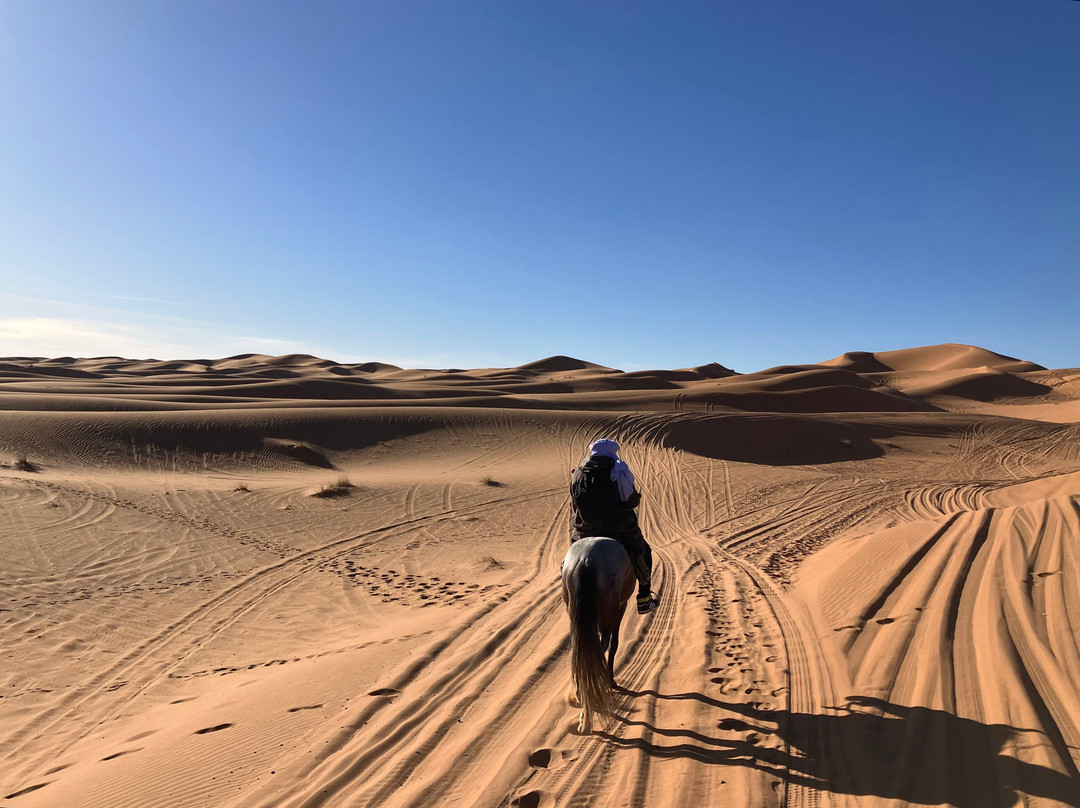 Merzouga Horse Riding景点图片