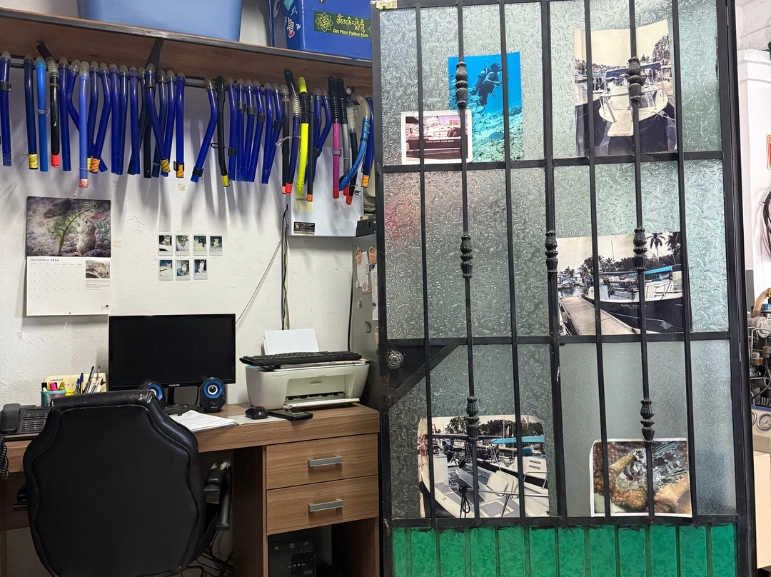 Twin Dolphins-瓦拉塔港必去景点