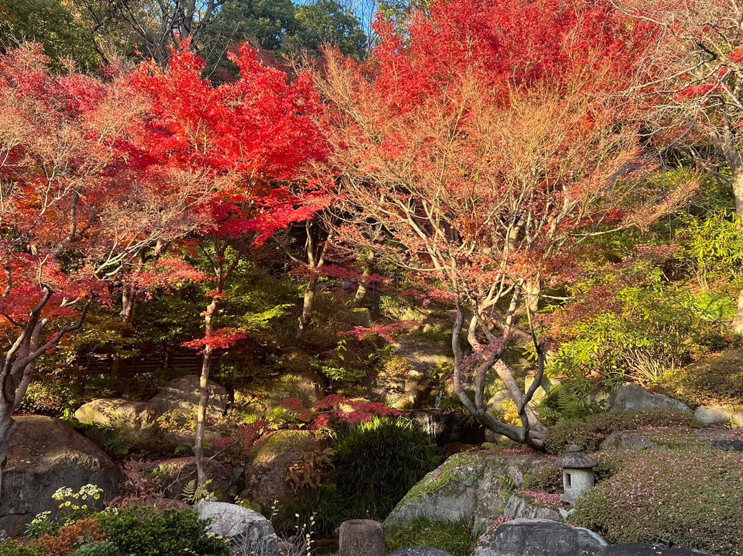 Nishinomiya Kitayama Botanical Garden-西宫市必去景点