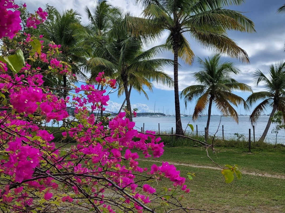 Zanzibar ProKite-江比阿尼必去景点