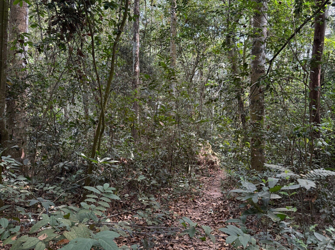 Vietnam Private Travel-胡志明市必去景点