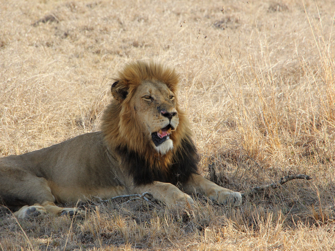 L'œil Sauvage - Wildlife Experience-霍德斯普鲁特必去景点