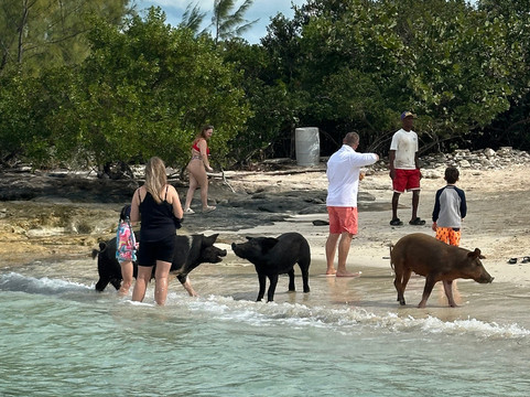 JetWavz-拿骚必去景点