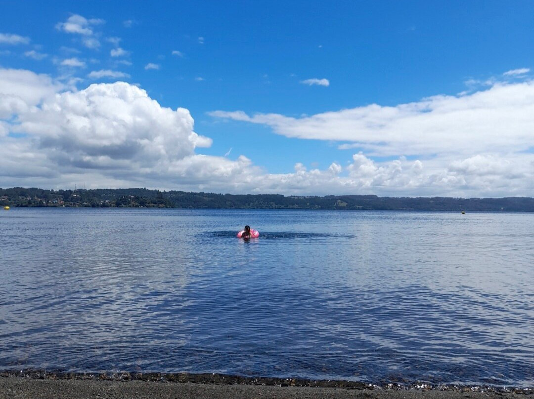 Playa Centinela-Puerto Octay必去景点