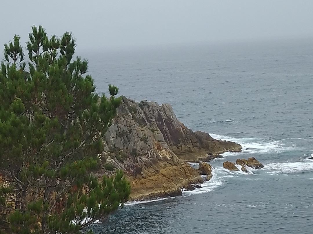 Twofold Bay Motor Inn主图