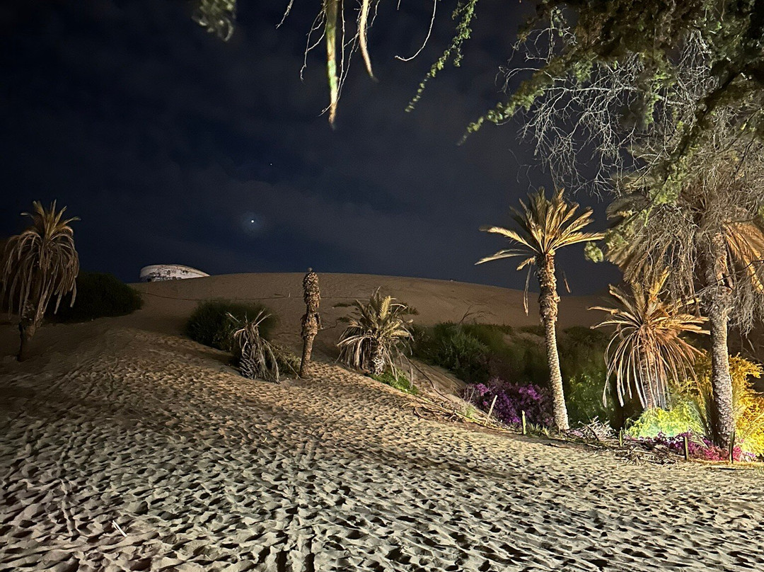 Huacachina Oasis-Huacachina必去景点