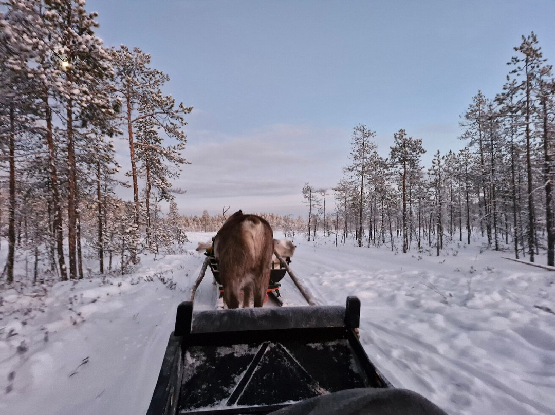 Wild About Lapland-罗瓦涅米必去景点