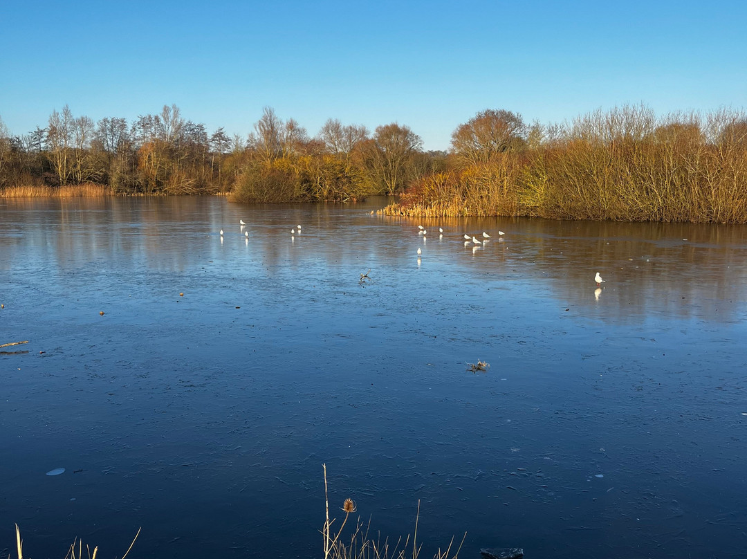 Nene Park景点图片