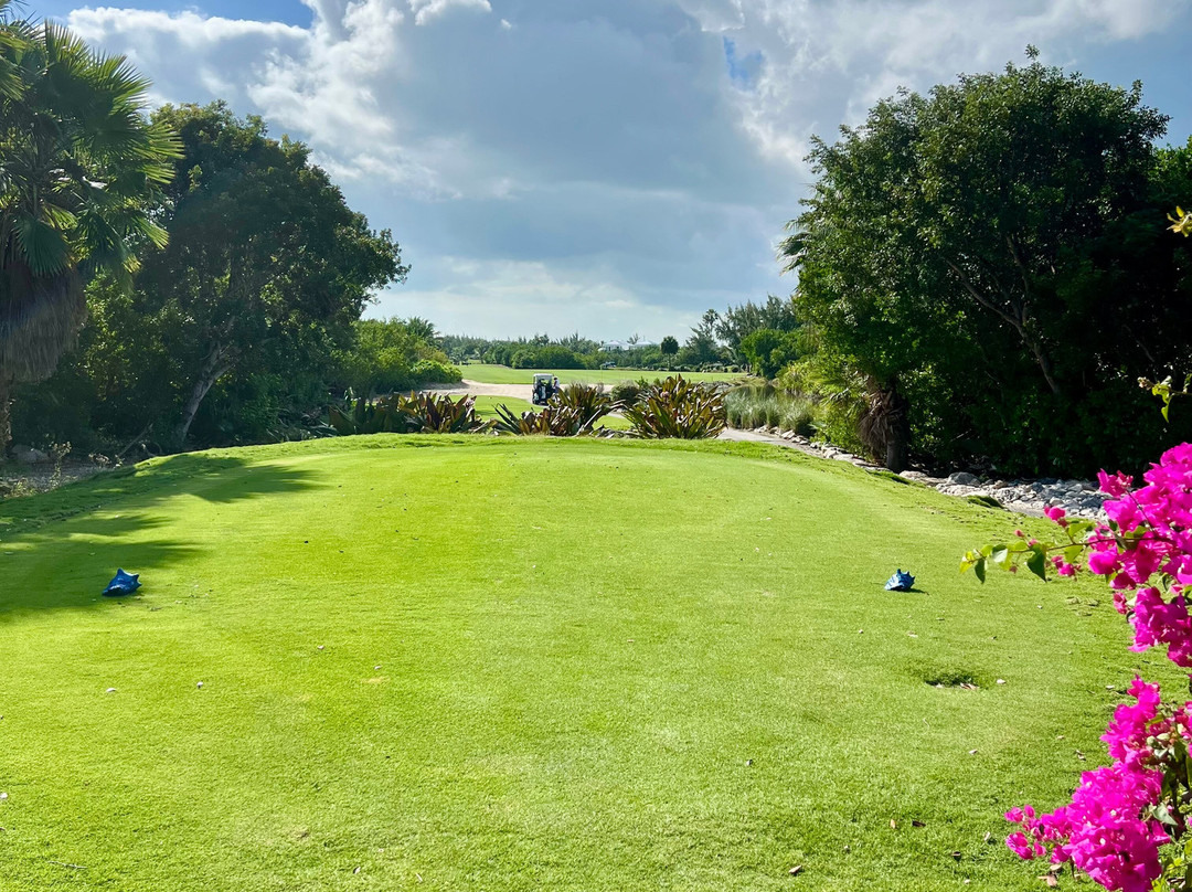Royal Turks And Caicos Golf Club-格雷斯湾必去景点