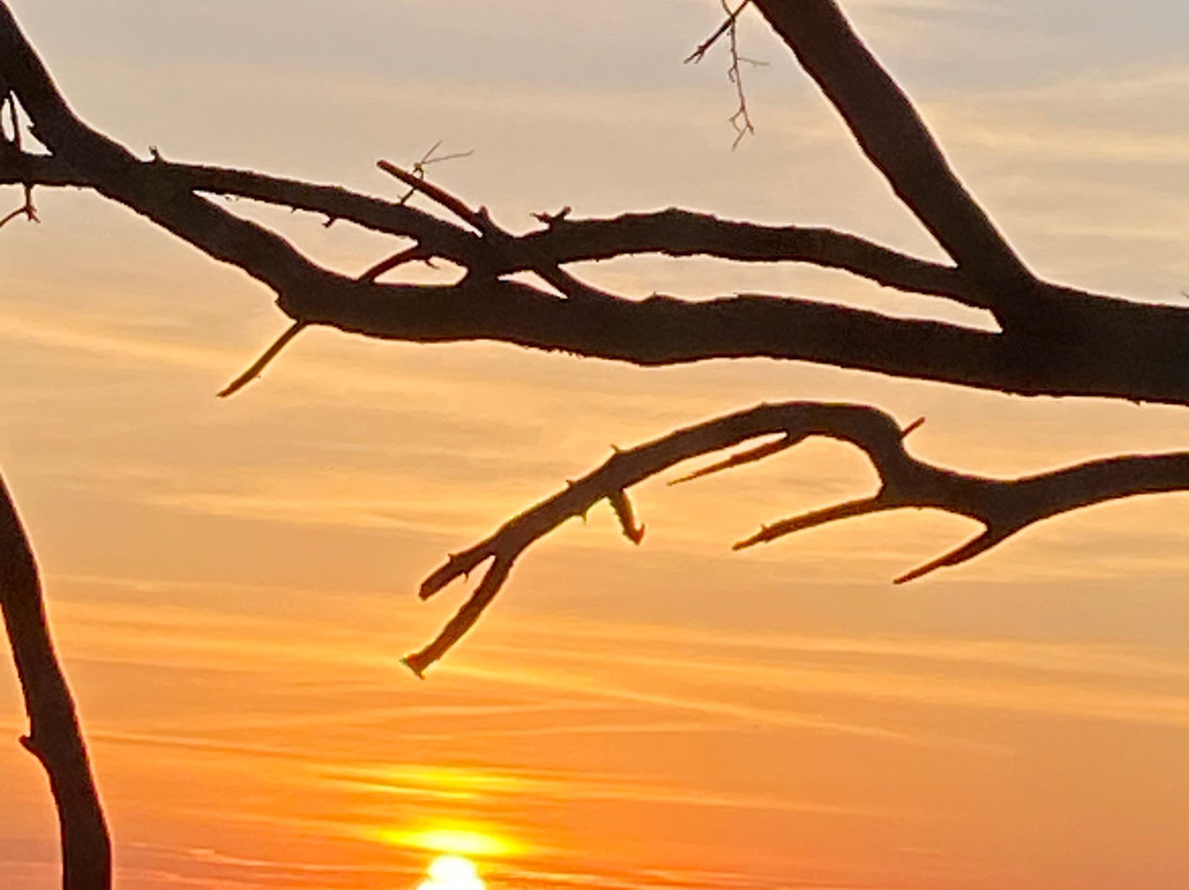 Playa Negra Surf Lodge主图