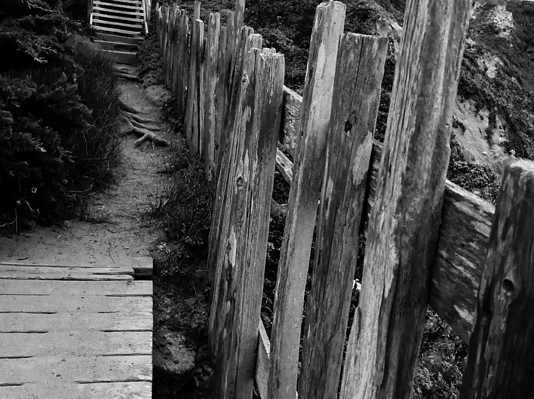 海滨牧场旅馆主图