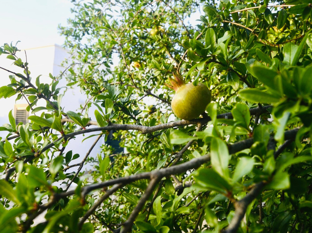 Tenuta Don Vittorio B&B主图