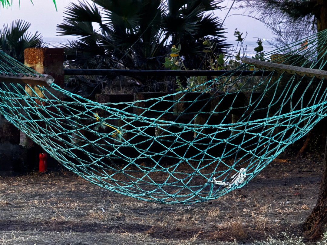 Lotus Eco Beach Resort Murud-Dapoli主图