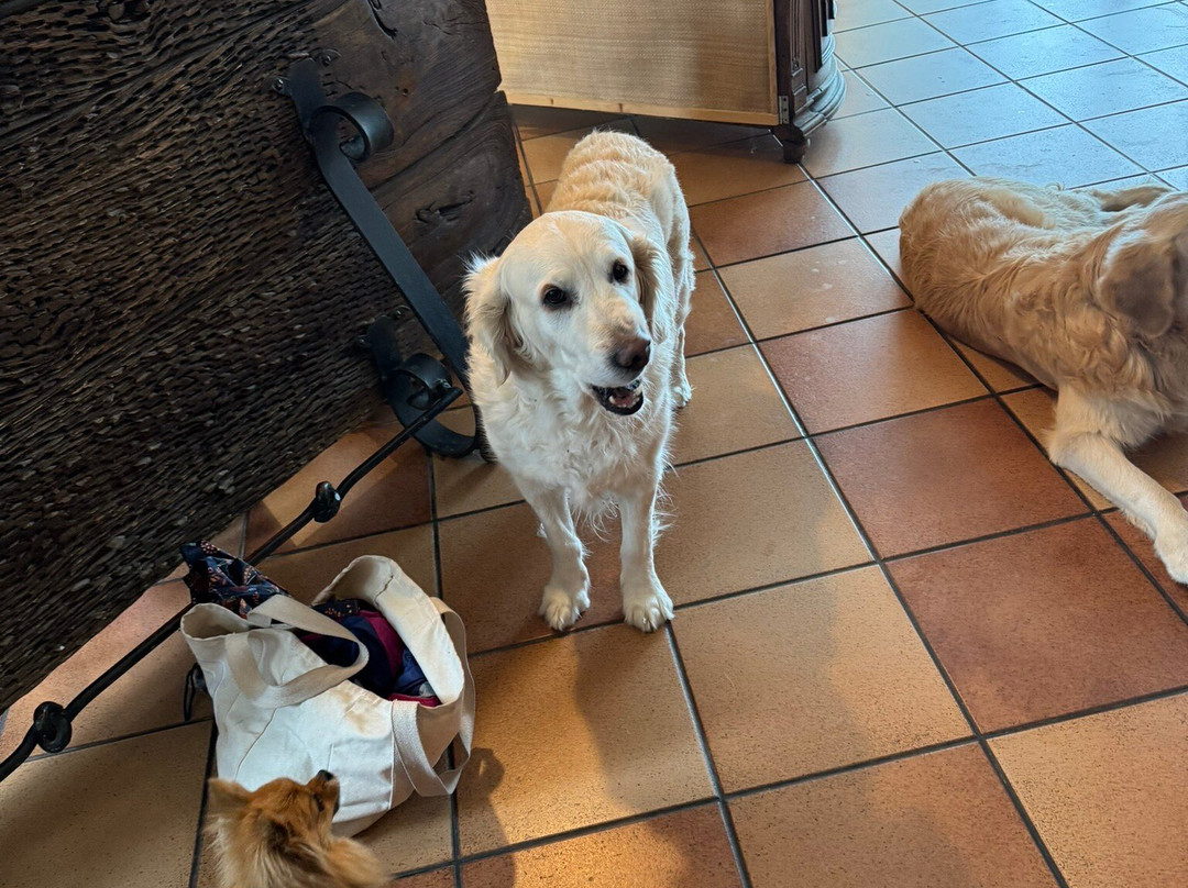 El Balcon De Las Nieves主图