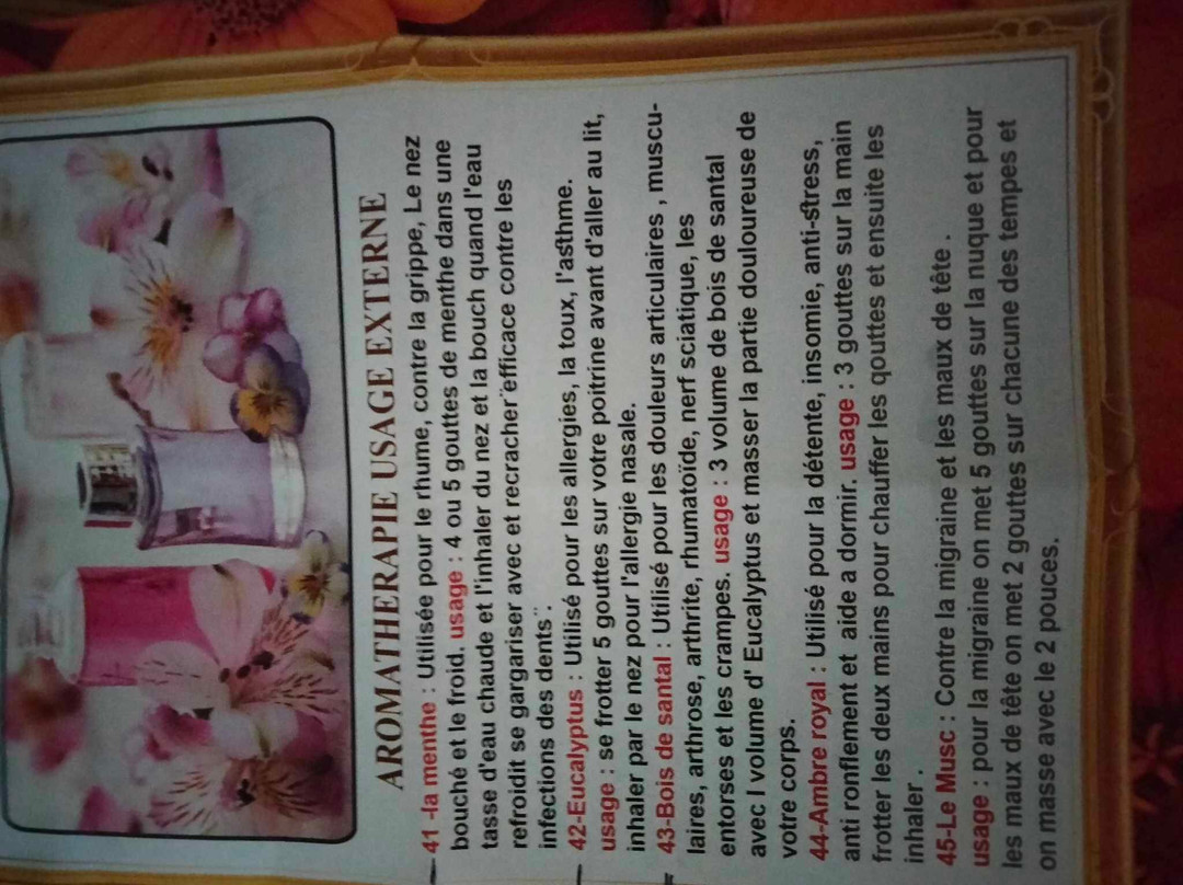 Abu Simbel Perfume Palace-Aswan 1必去景点