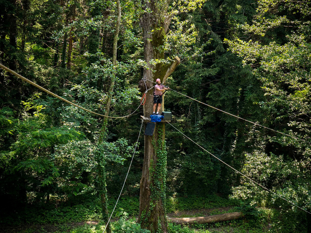 Associazione Adrenalina Parco Avventura Casentino景点图片