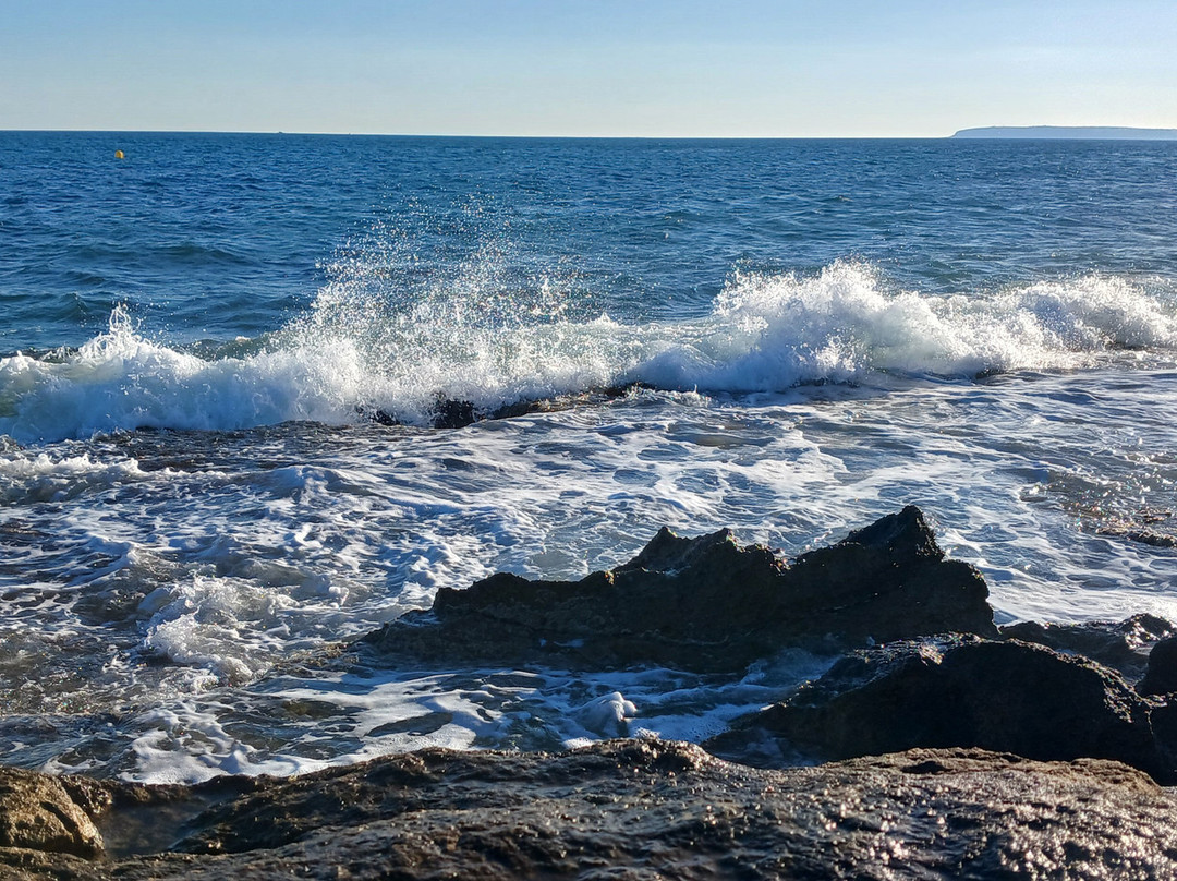 Playa de Sant Joan景点图片