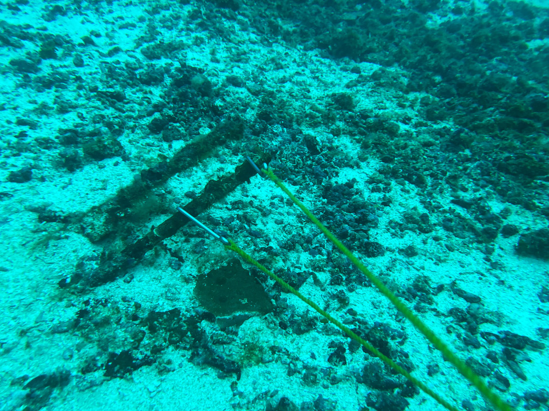 Bicol Dive Center-栋索尔必去景点