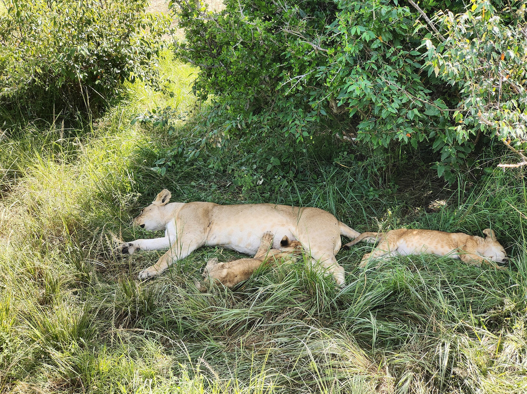 The Safari Side Travel Agency-Iten必去景点