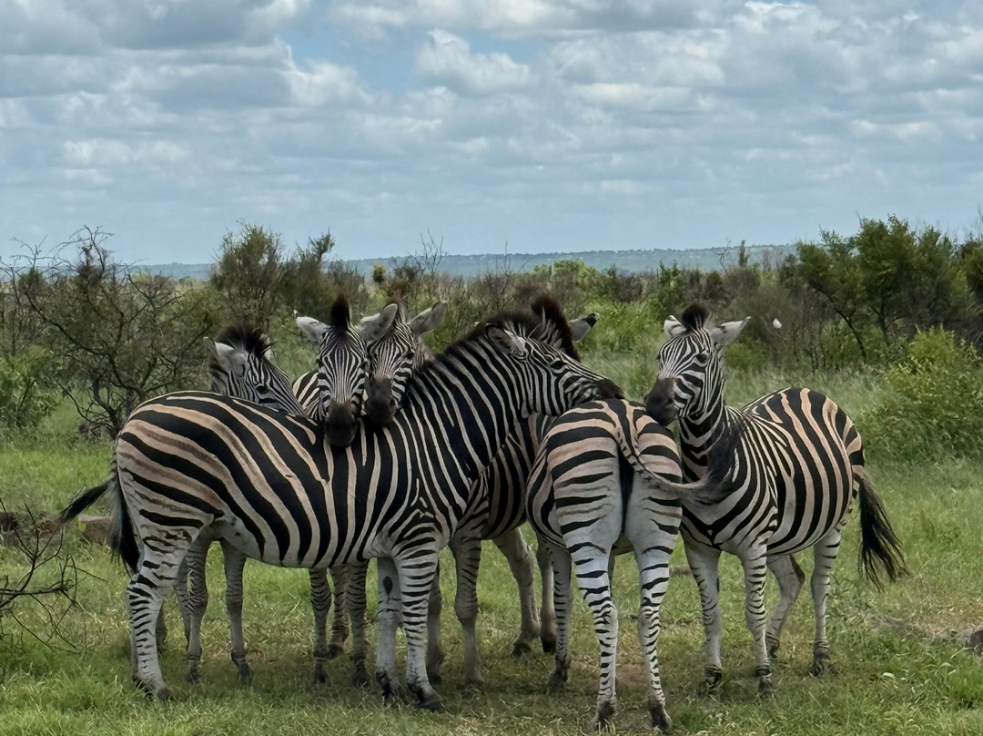 Into Africa life changing experiences-Seronera必去景点