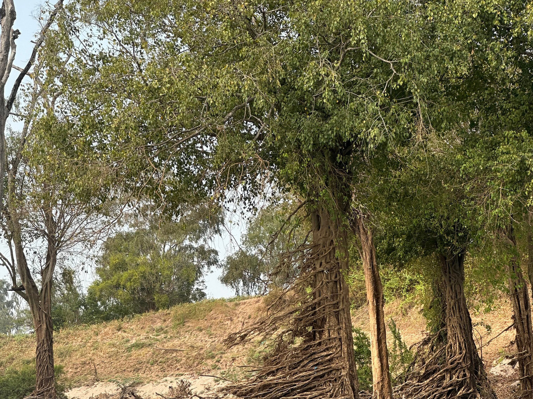 Mekong Ramsar Trail-Stung Treng必去景点