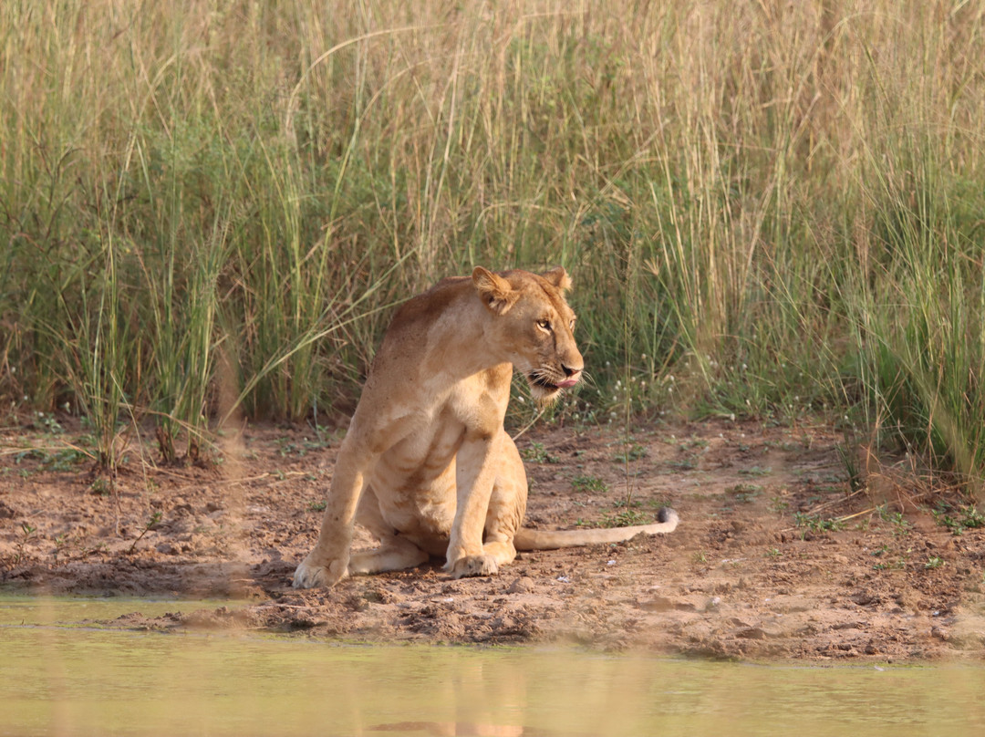 Africa Adventure Safaris-坎帕拉必去景点