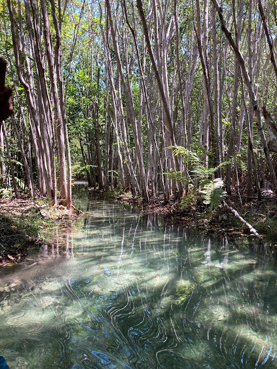 Mayan Ecotours-梅里达必去景点