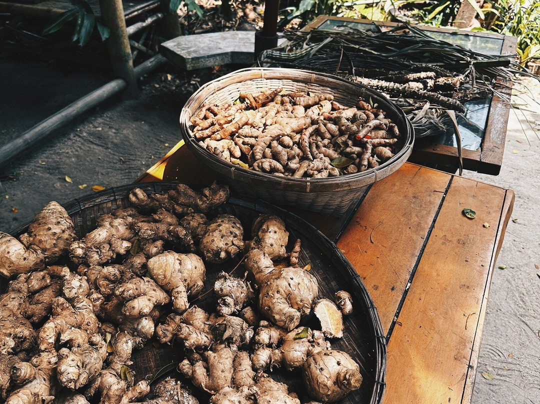 Feel Travel Samui Tours-湄南必去景点