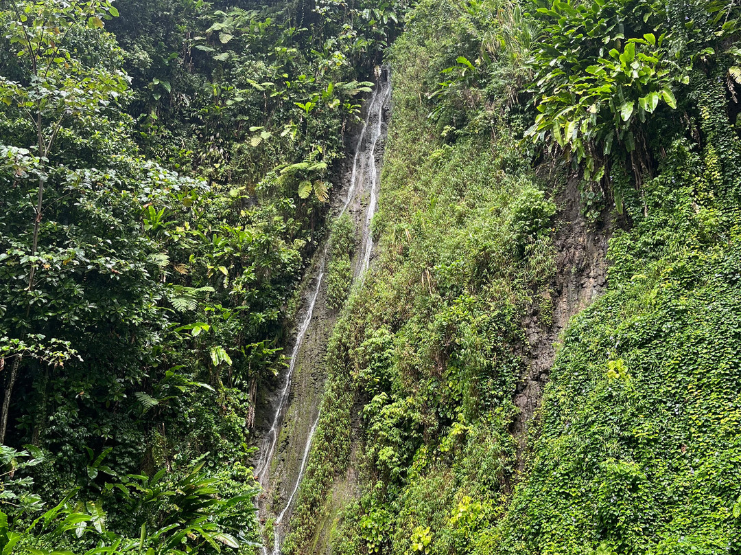 Papillote Tropical Gardens-罗索必去景点