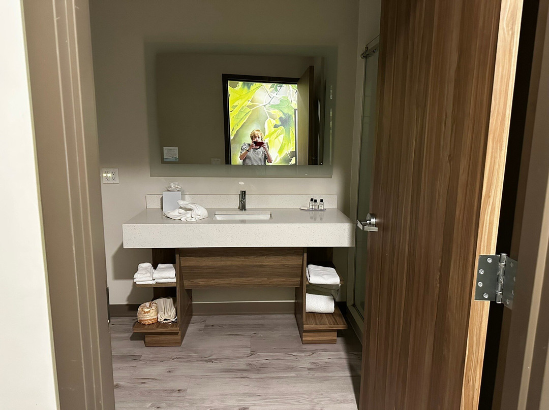 Wyndham Garden Orlando Airport主图