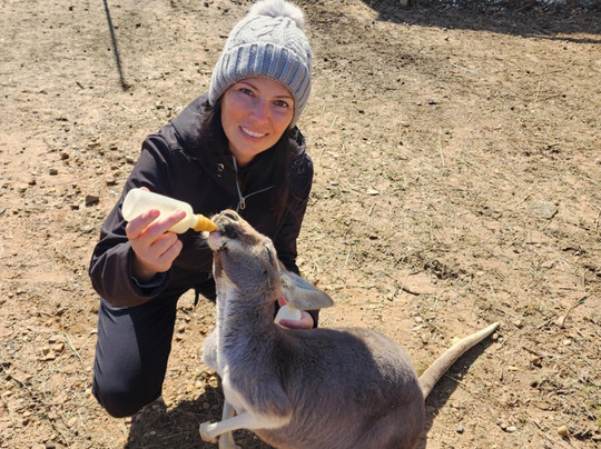 Giraffe Inn And Safari-New Boston必去景点