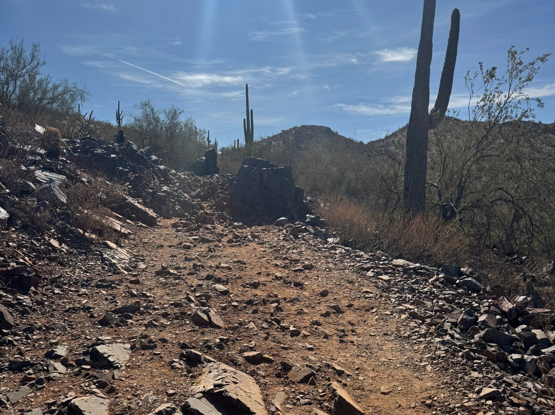McDowell Sonoran Preserve-斯科茨代尔必去景点