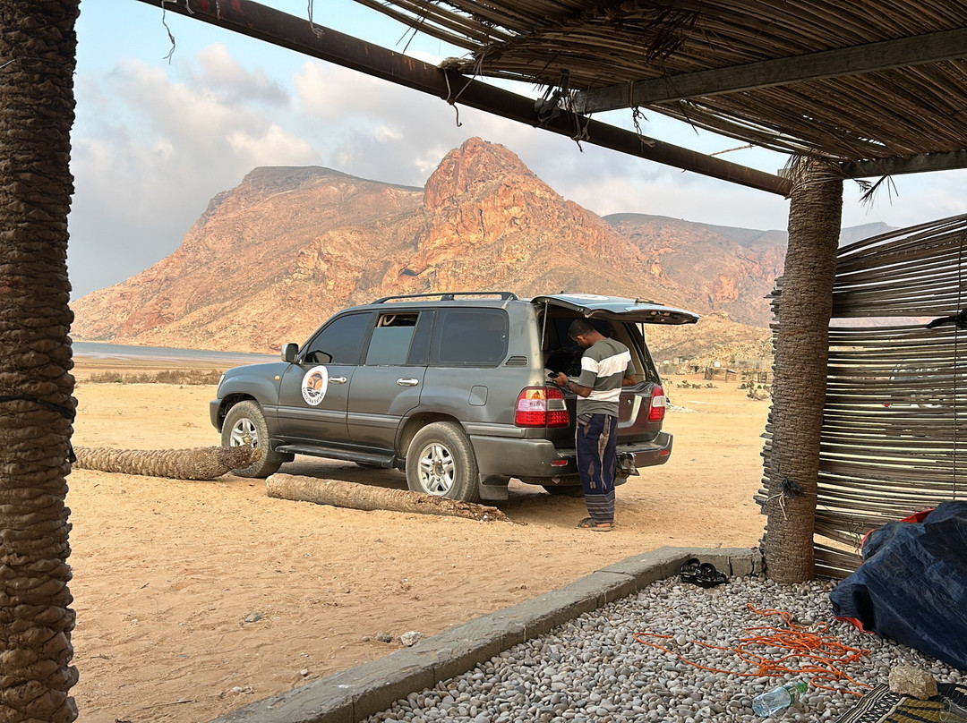 Socotra Safari Tours景点图片